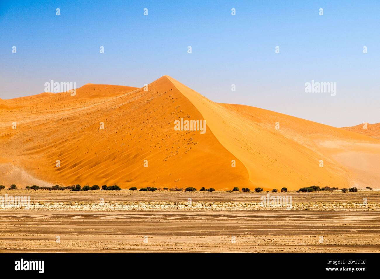 Paysage avec dunes rouges du désert de Namib, Parc national de Namib-Naukluft, Namibie, Afrique. Banque D'Images