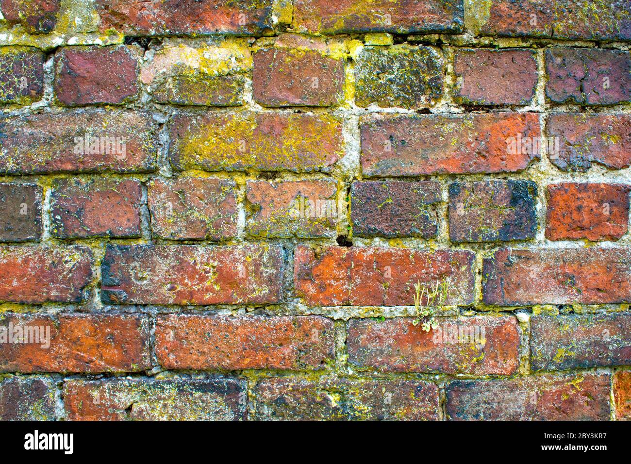 La texture du mur de briques Banque D'Images