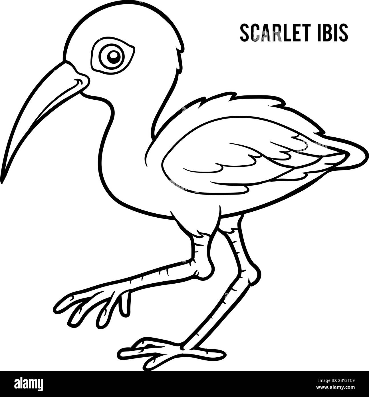Livre de coloriage pour enfants, Scarlet ibis Illustration de Vecteur