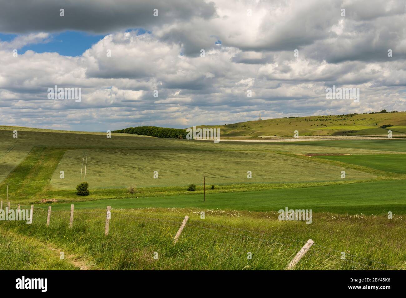 Vue depuis Morgans Hill en direction du monument Lansdowne et de CALSTONE et Cherhill Downs, Wiltshire, Angleterre, Royaume-Uni. Banque D'Images