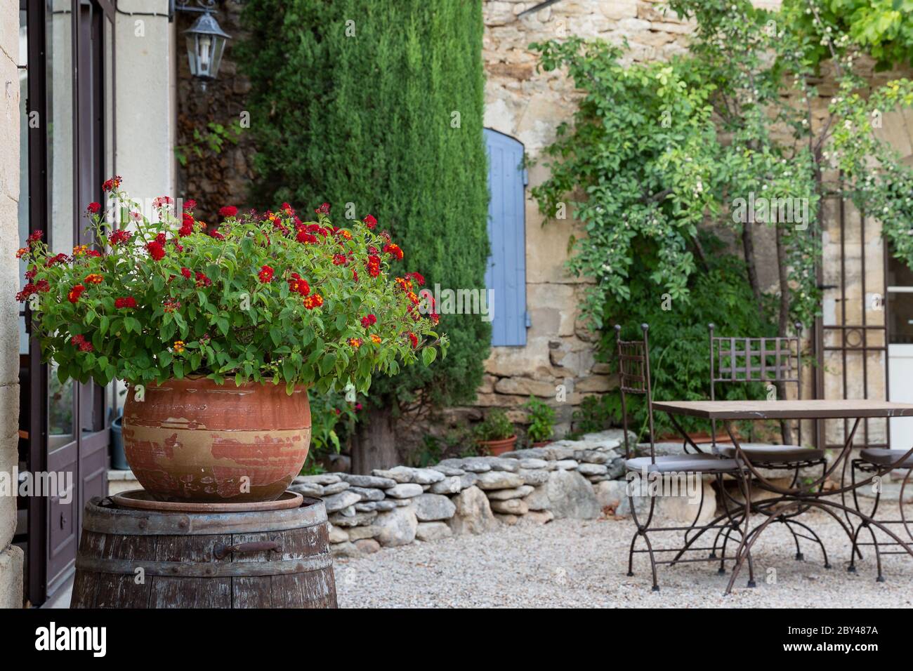 Une terre cuite avec une belle plante aux fleurs rouges dans la cour d'une maison en Provence, France Banque D'Images