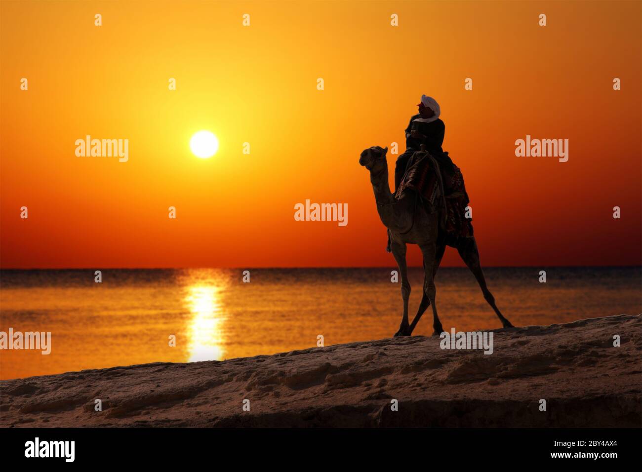 bédouin sur une silhouette de chameau contre le lever du soleil Banque D'Images