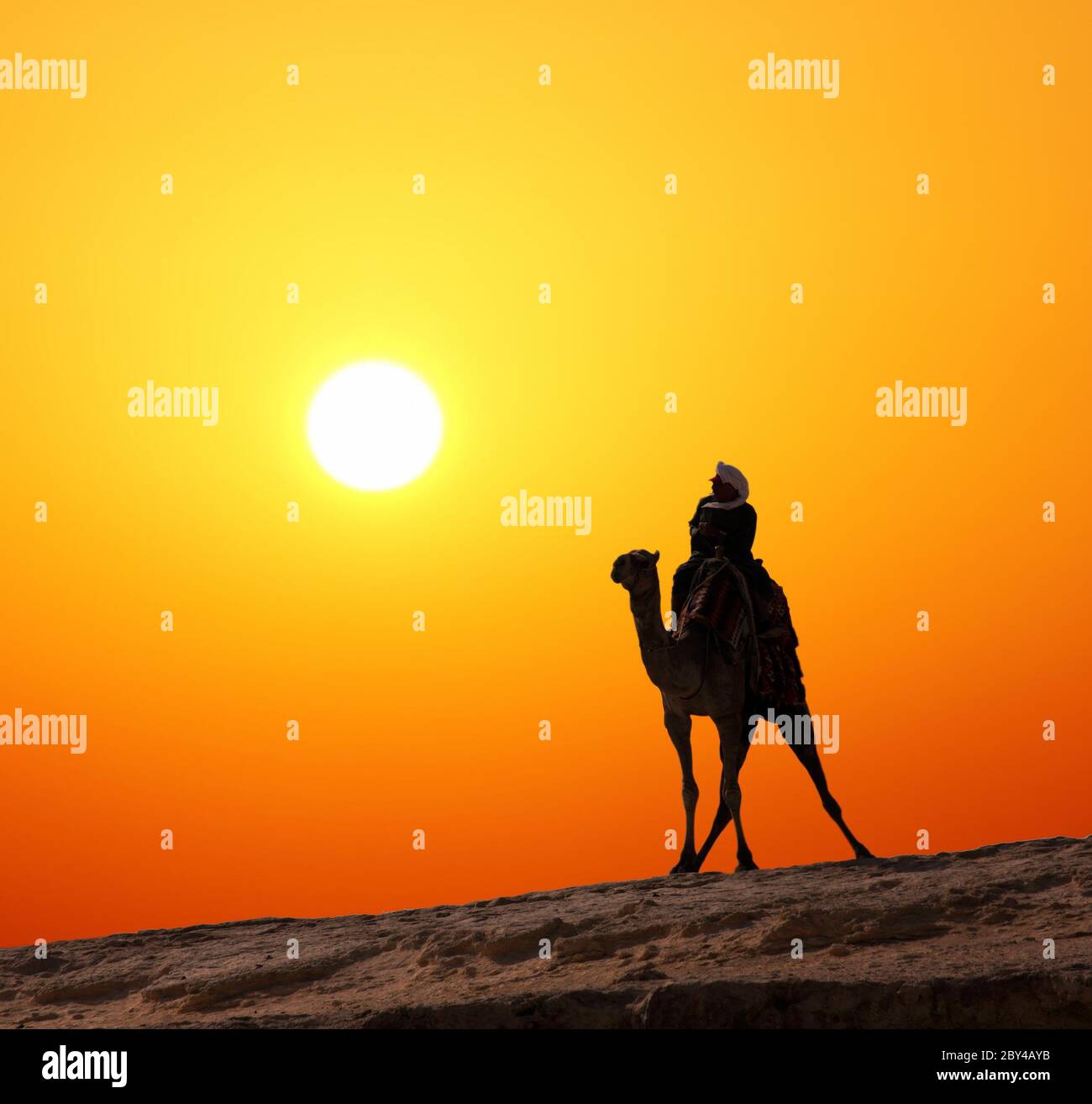 bédouin sur une silhouette de chameau contre le lever du soleil Banque D'Images