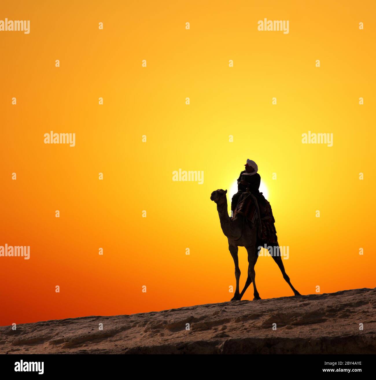 bédouin sur une silhouette de chameau contre le lever du soleil en afrique Banque D'Images