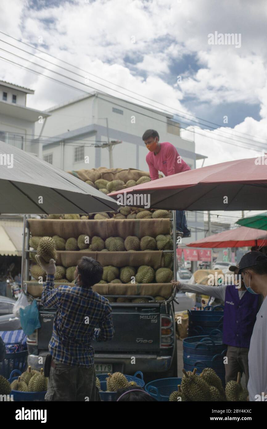 Déchargement des fruits duriens de la collecte, Bangkok Thaïlande Banque D'Images