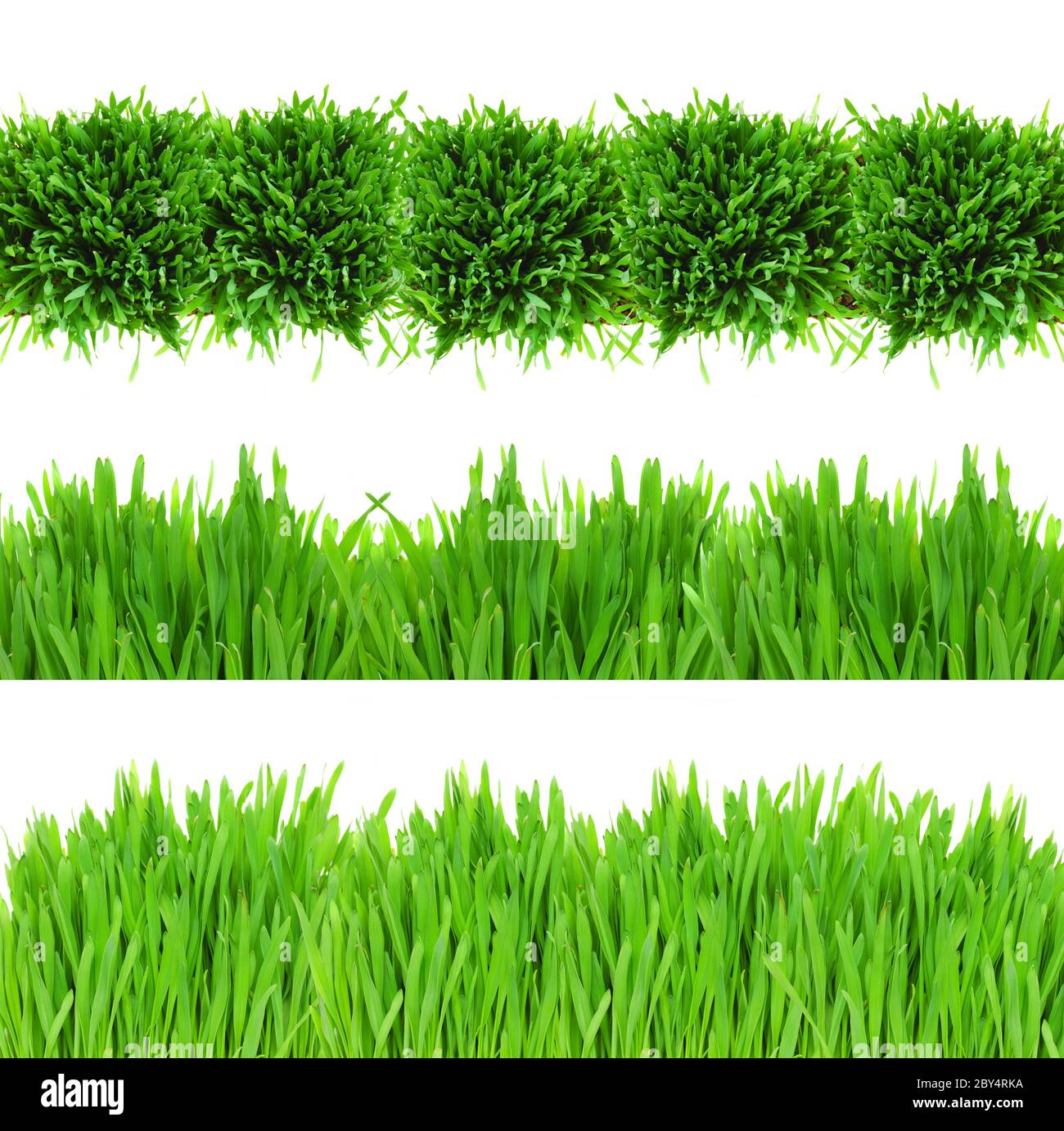 bordure verte en herbe Banque D'Images
