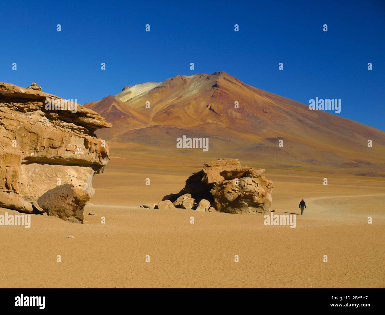 Formations rocheuses dans le désert de montagne de Cordillera de Lipez, Bolivie Banque D'Images