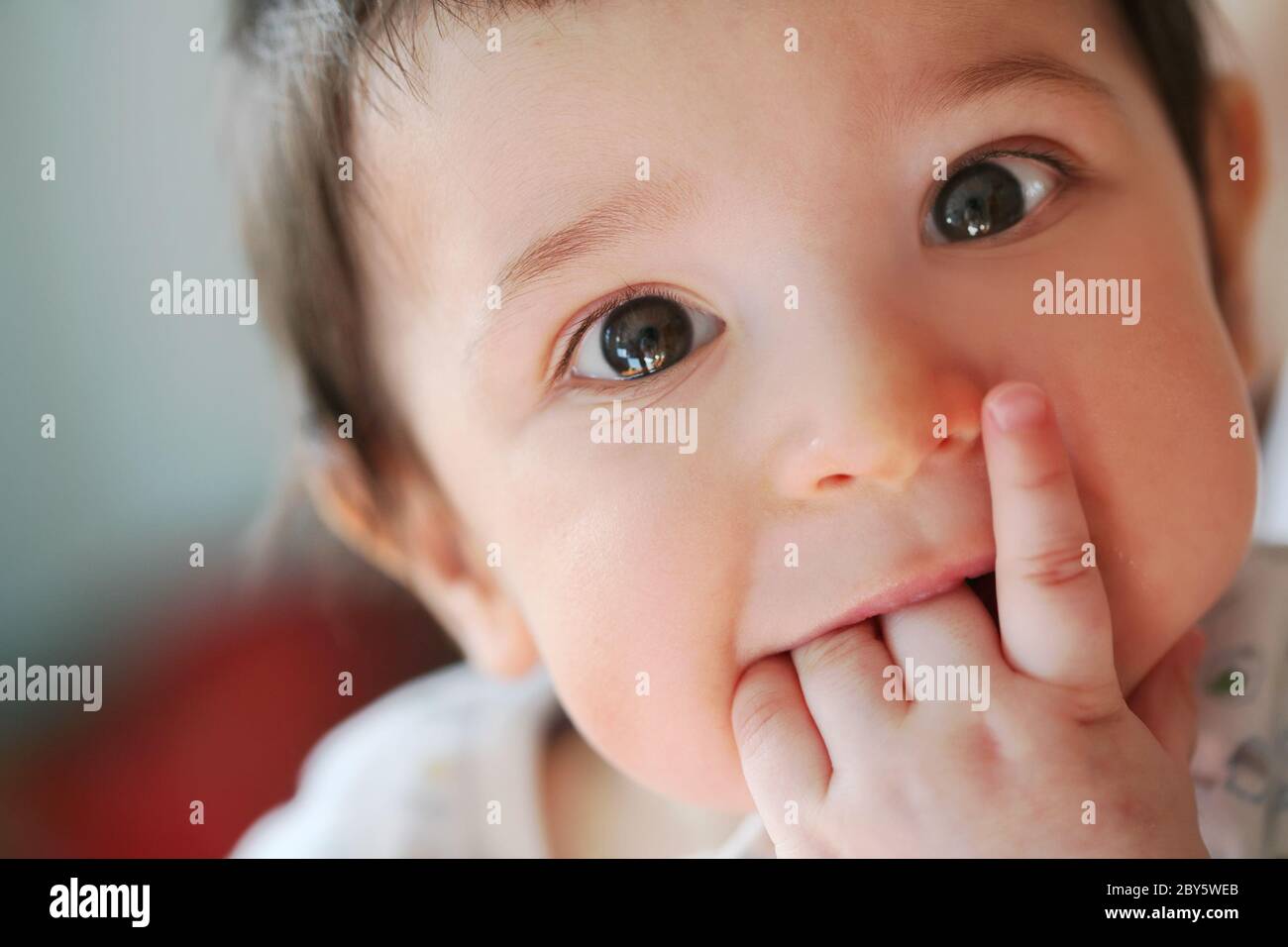 un petit garçon touche ses premières dents Banque D'Images