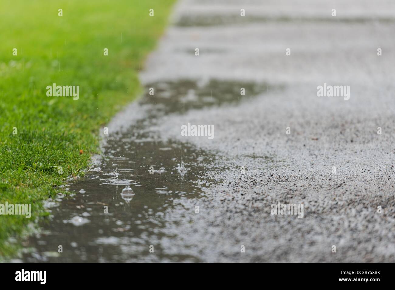 Des gouttes de pluie éclaboussaient dans les flaques sur le sentier de marche à travers le parc public le jour de la pluie Banque D'Images