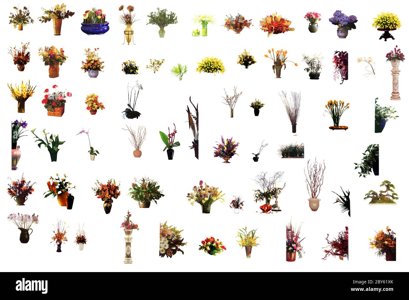 collection de plantes de maison de fleurs Banque D'Images