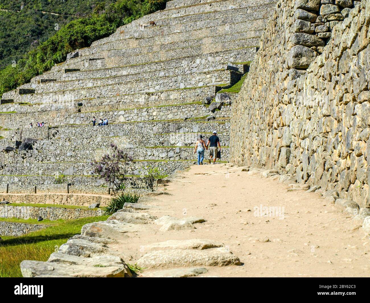 Terrasses de Machu Picchu - Incan ville perdue au Pérou, en Amérique du Sud. Banque D'Images