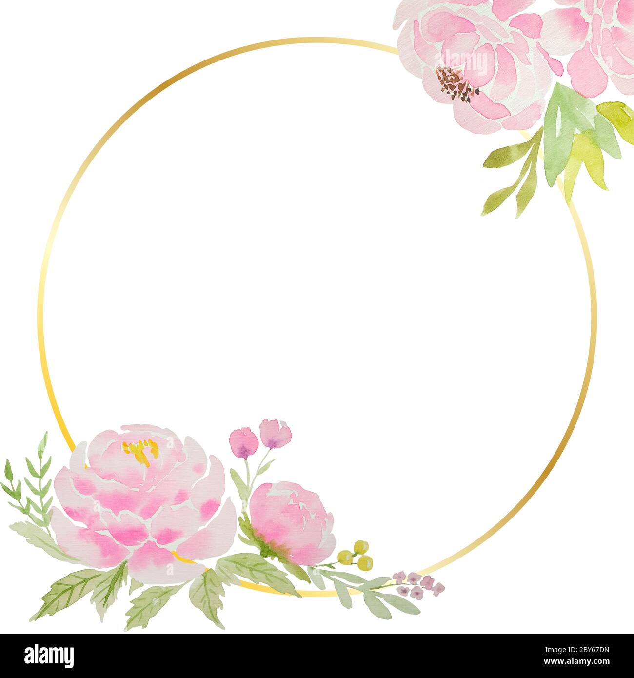 Un beau blanc pour une carte avec des pivoines et des roses roses roses aquarelle négligentes, avec un cadre doré et un fond blanc. Pour un mariage, un anniversaire. Suppr Banque D'Images