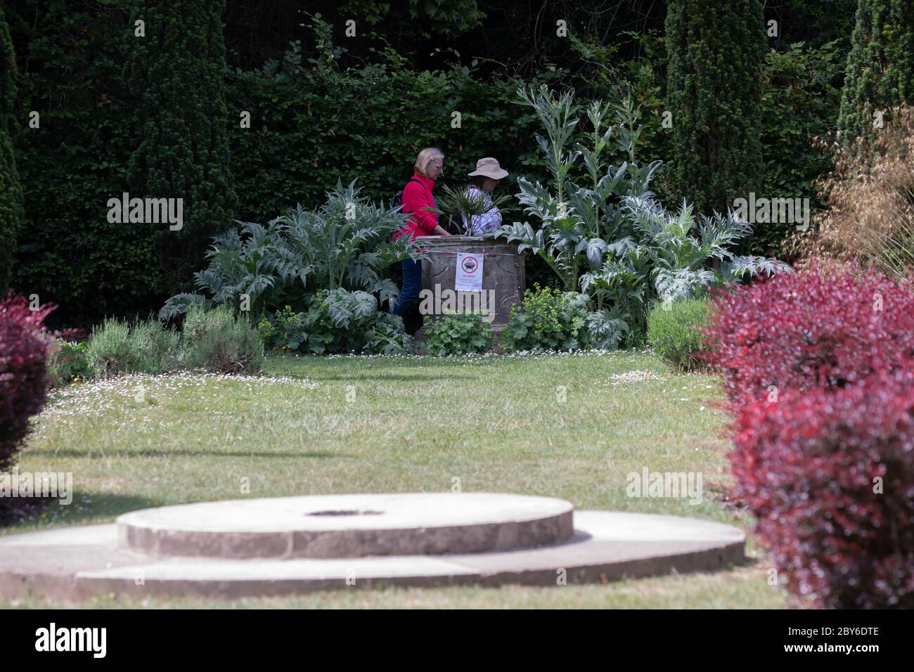 Farnborough, Kent, 9 juin 2020, les gens profitent d'une promenade au soleil dans le parc de High Elms Country Park, Kent. Le temps pour aujourd'hui est pour 16C avec intervalles de Soleil et est prévu pour les douches pour le reste de la semaine. Crédit : Keith Larby/Alay Live News Banque D'Images