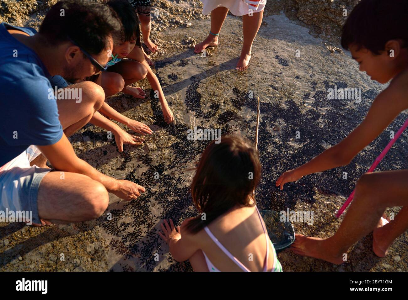 Famille jouant dans la piscine à marée sur la plage Banque D'Images