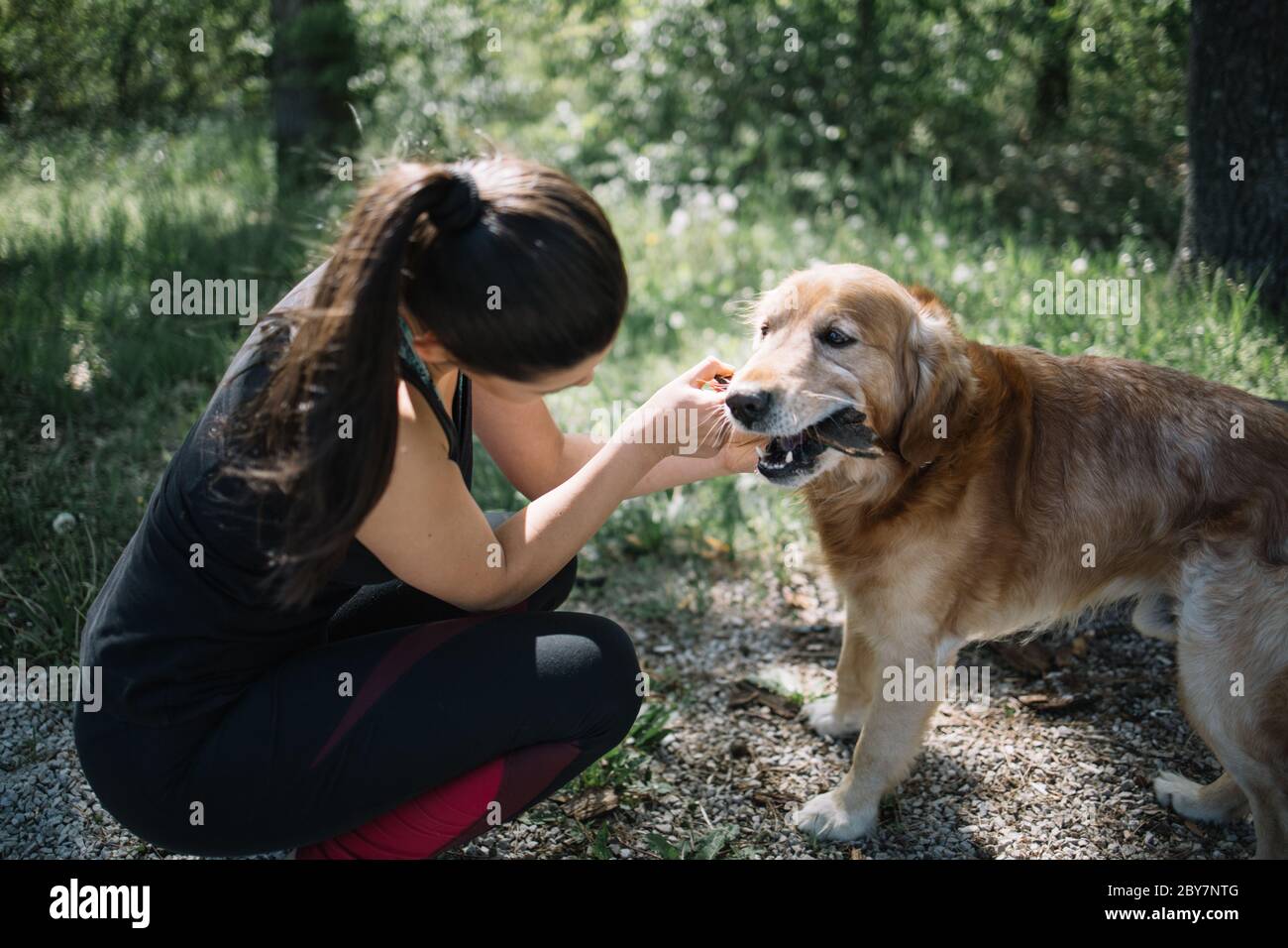 Chien avec une croûte de bois dans sa bouche debout à côté de la fille Banque D'Images