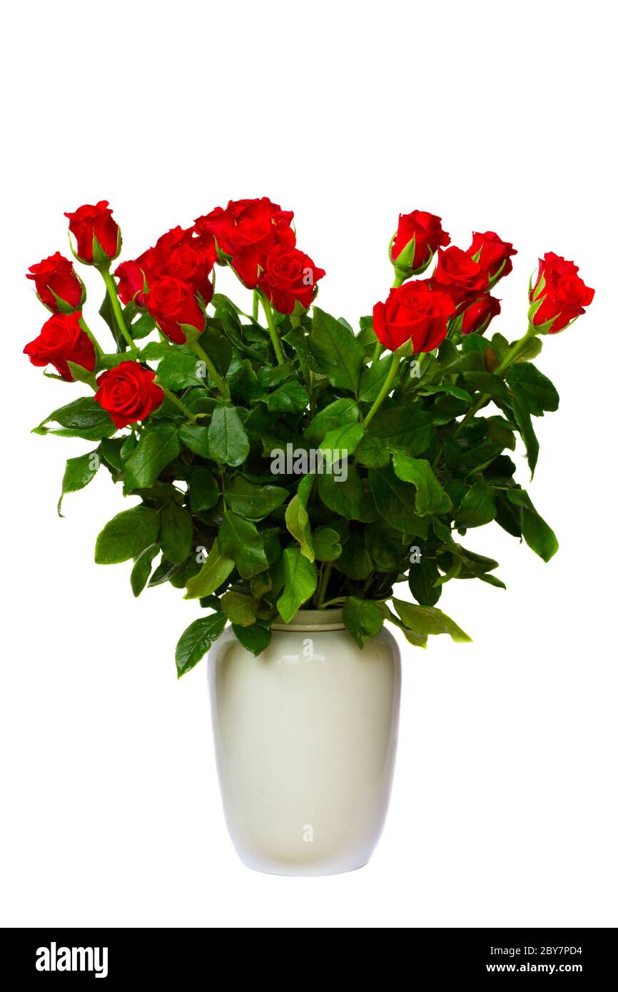 Bouquet de roses rouges Banque D'Images