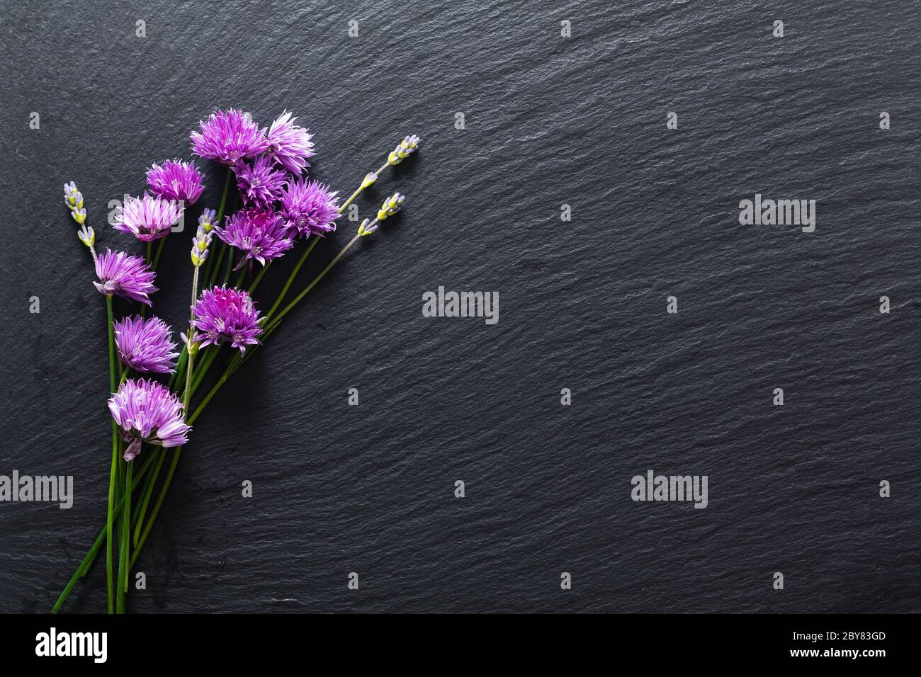 Concept de fond pour la publicité de nourriture ou de beauté par les fleurs de ciboulette et les plantes aromatiques dans sur le panneau de pierre d'ardoise noire avec espace de copie Banque D'Images