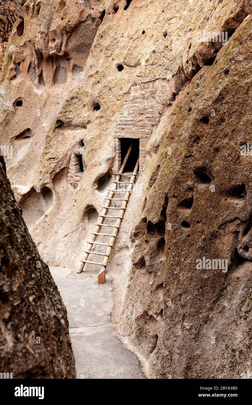 NM00618-00...NOUVEAU MEXIQUE - Cliff Dwellings, maisons de talus, le long de la piste principale de la boucle dans le monument national de Bandelier. Banque D'Images