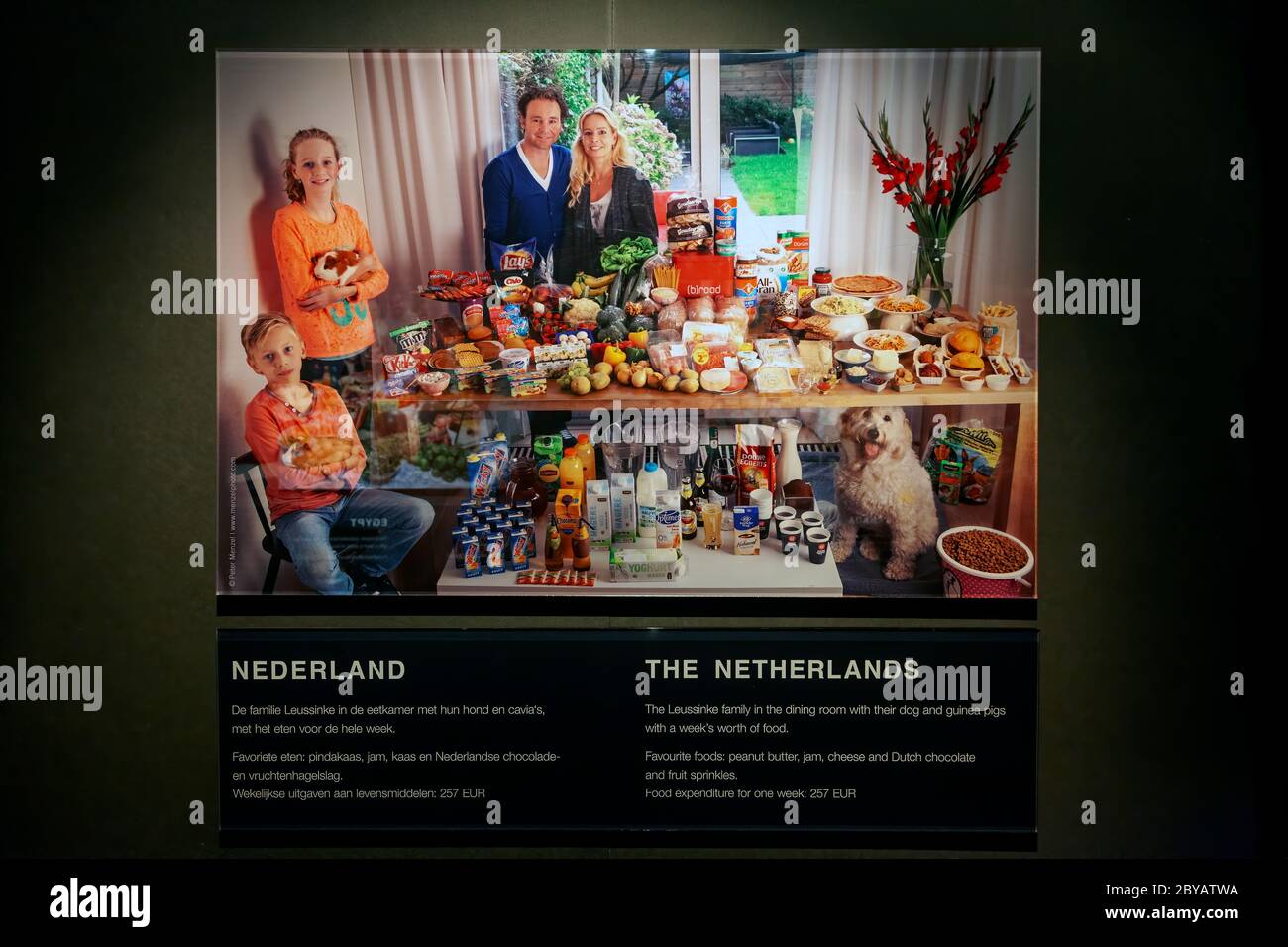 La gestion alimentaire dans l'exposition d'images à Amsterdam, pays-Bas Banque D'Images