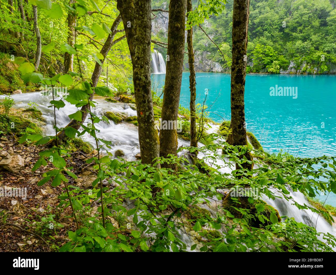 Lacs de Plitvice intensif vive Forêt verte au printemps en Croatie Europe vide cascade rivière écoulement fluvial exposition longue Banque D'Images