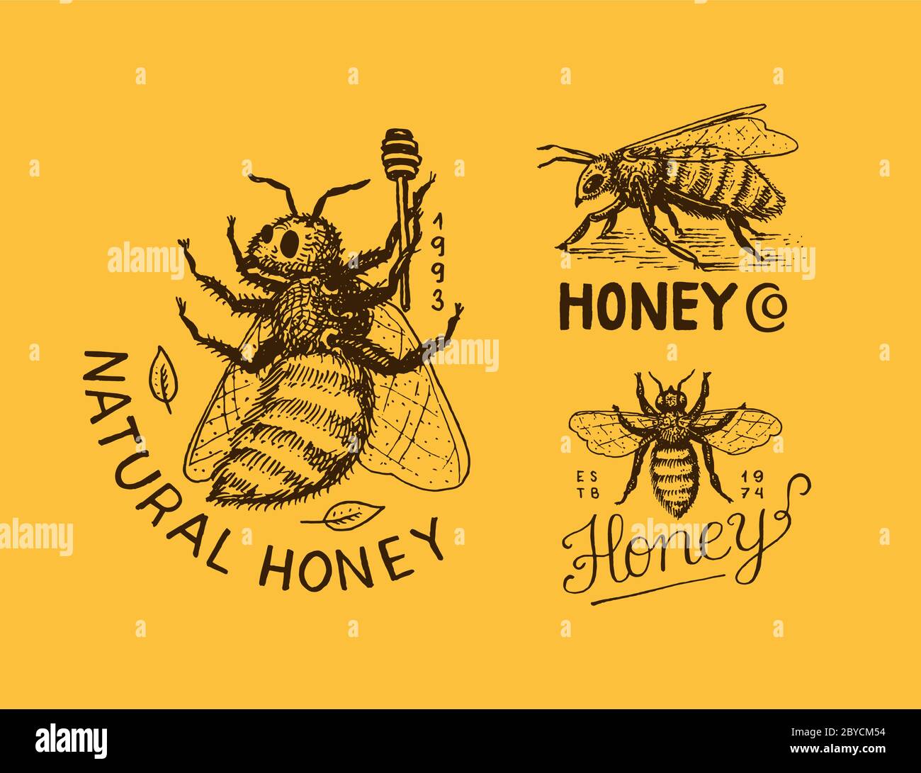 Miel et abeilles. Logo vintage pour la typographie, la boutique ou les enseignes. Badge pour tee-shirts. Esquisse de gravure dessinée à la main. Illustration vectorielle. Illustration de Vecteur