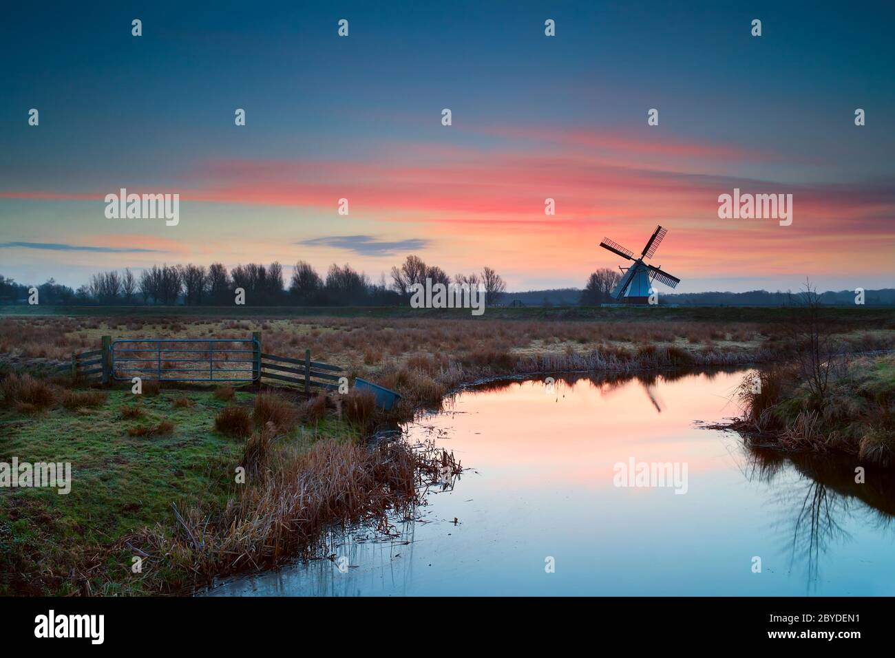 Lever de soleil rose sur le moulin à vent et la rivière hollandais Banque D'Images