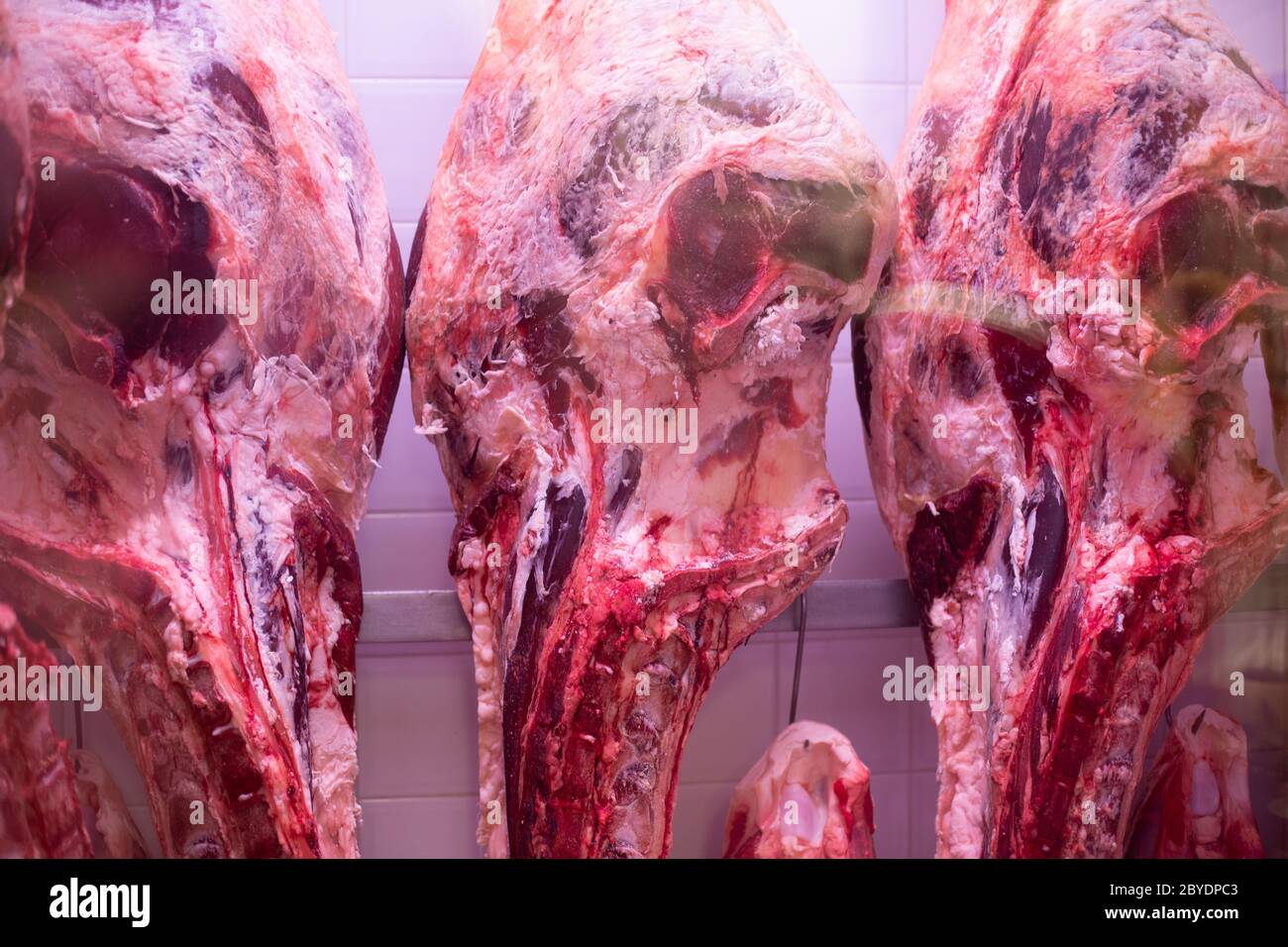 Beaucoup de viande crue pendent et arrangent dans une rangée dans une usine de viande ou dans un réfrigérateur restarant Banque D'Images