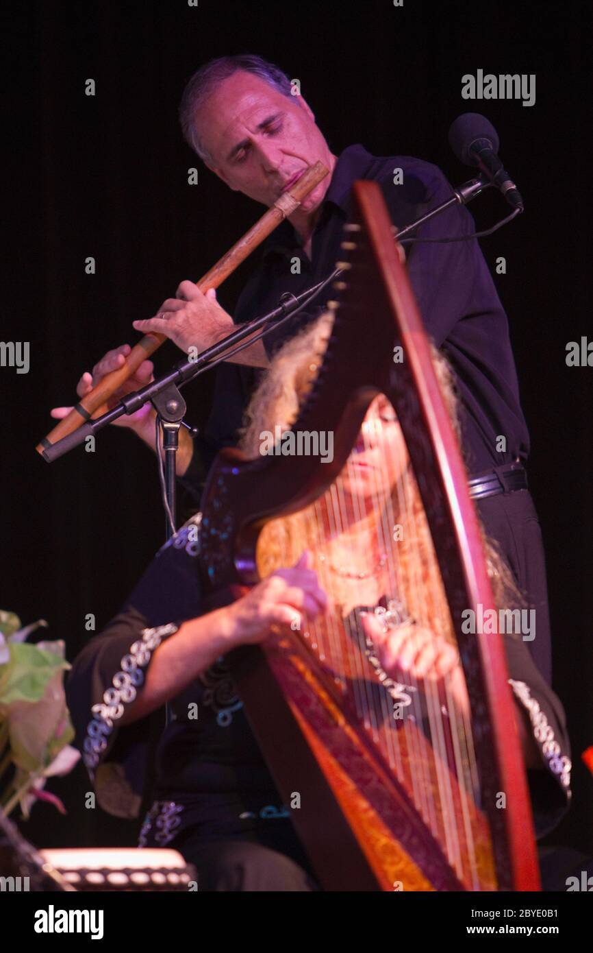 Flûtiste et harpe (modèle sorti) en concert. Banque D'Images