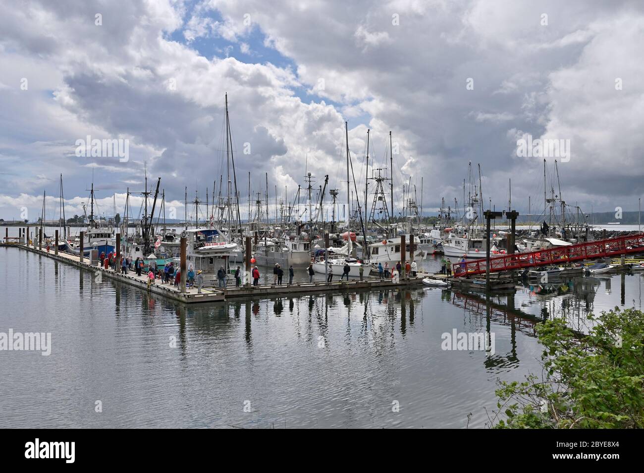 Les gens qui se préparent pour le flétan, la marina de Comox, Comox Valley, l'île de Vancouver, B.C Canada Banque D'Images