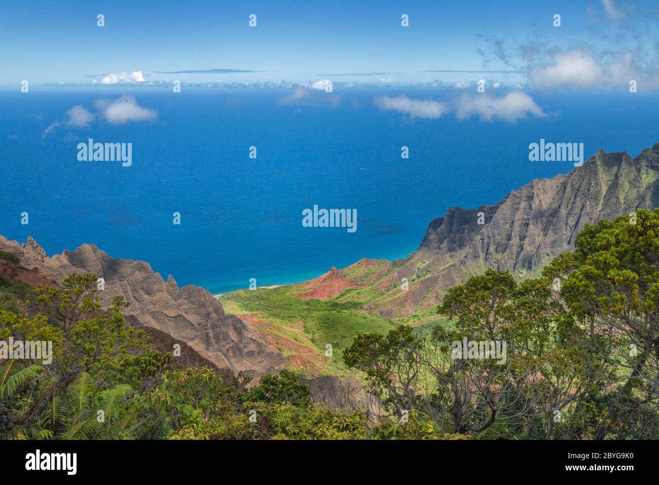 La beauté de la côte de napali, le style de vie et la faune d'Hawaï Banque D'Images