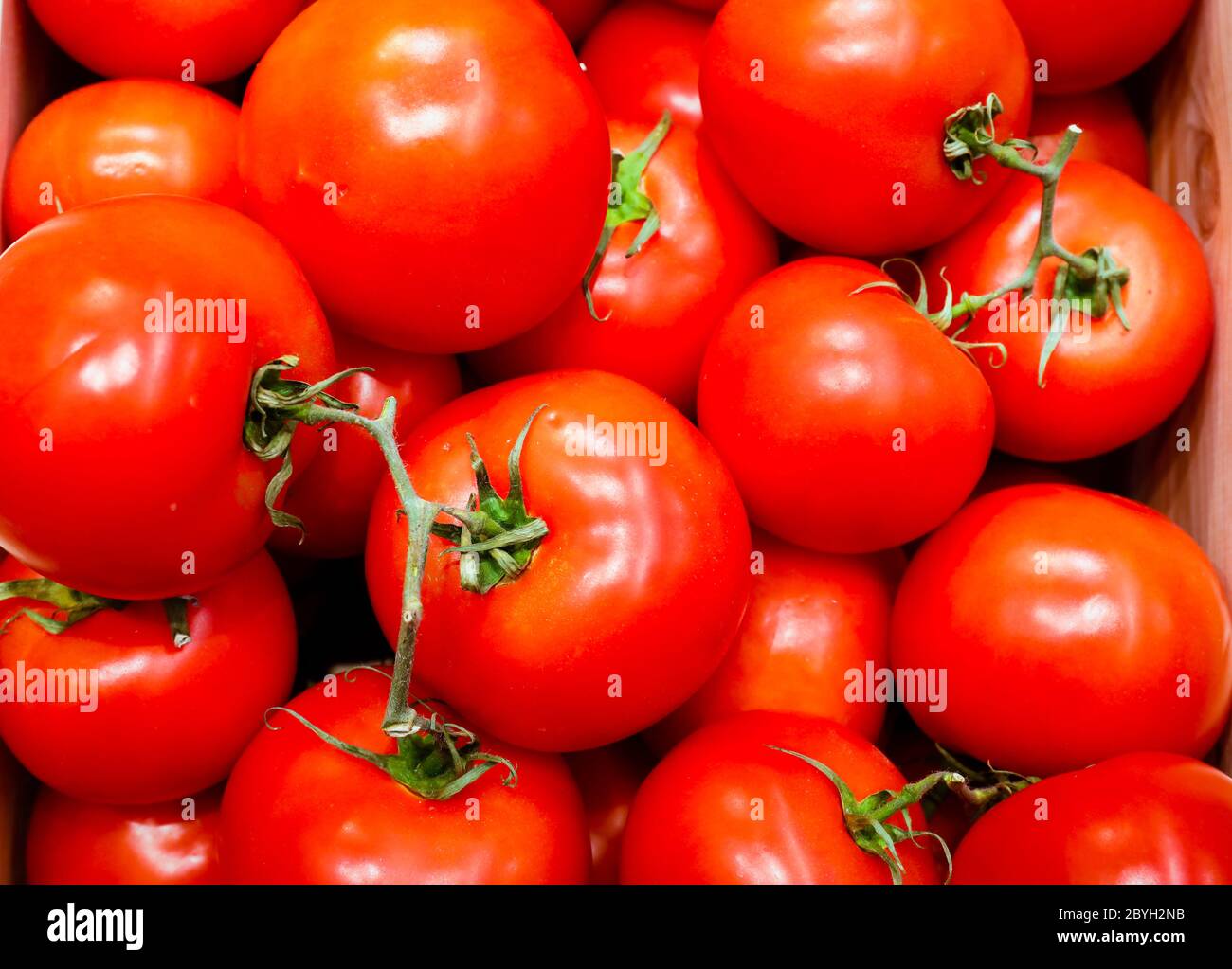 Allemagne - les tomates sont dans une boîte en bois. Deutschland - Tomaten liegen in einer Holzkiste. Banque D'Images