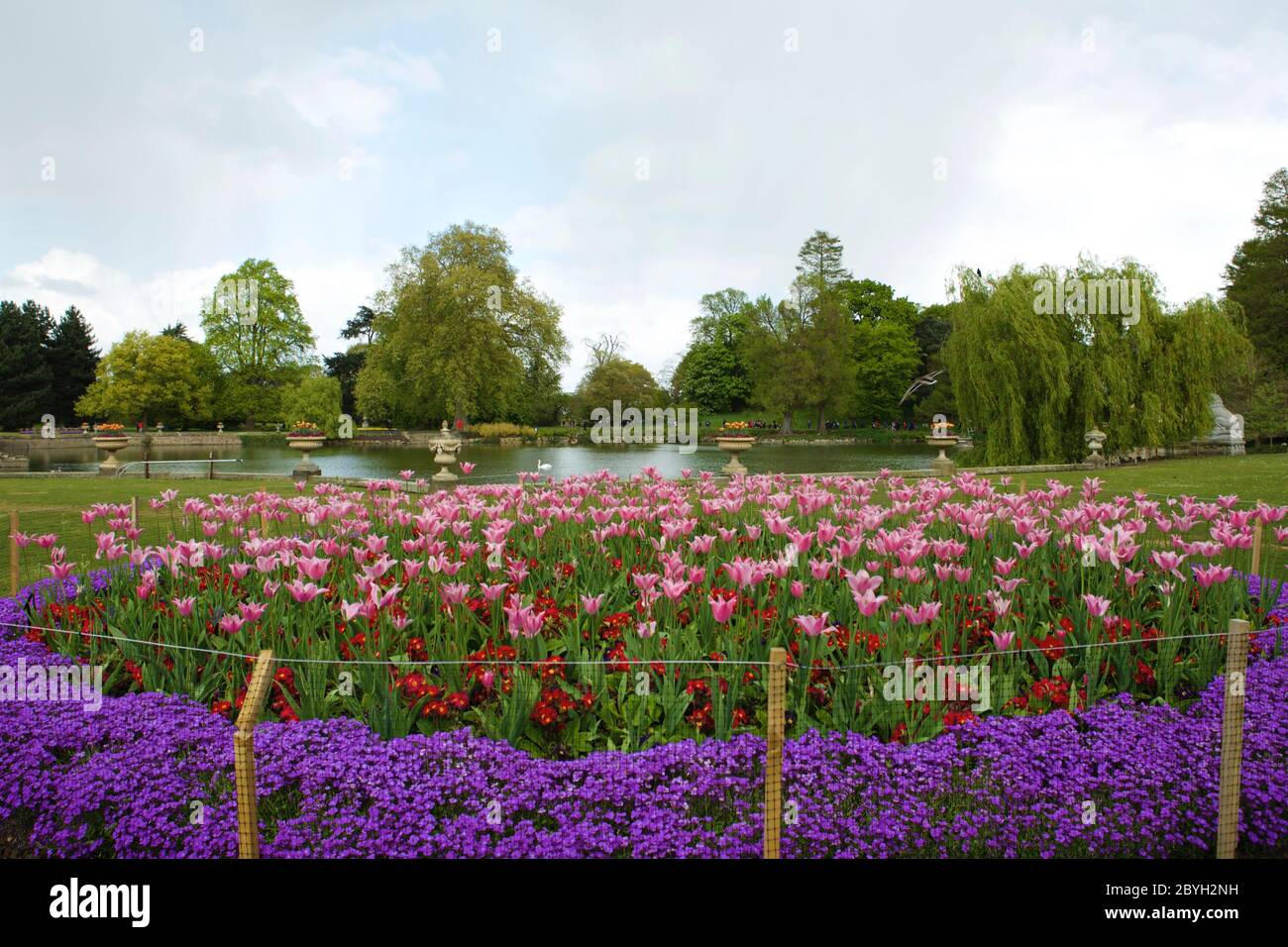 Les jardins de Kew peuvent rouvrir à partir du 3 juin 2020, jardins botaniques royaux le monde des plantes et des champignons ouverts pendant la pandémie de virus corona doit être réservé en ligne car les visiteurs doivent être surveillés avec des créneaux horaires d'entrée préréservés pour la première fois dans l'histoire. Pour des raisons de sécurité, tous les bâtiments et structures resteront fermés , Y compris les serres, les restaurants et les galeries et le train Kew. Quelques options de nourriture et toilettes extérieures resteront ouvertes ... Banque D'Images