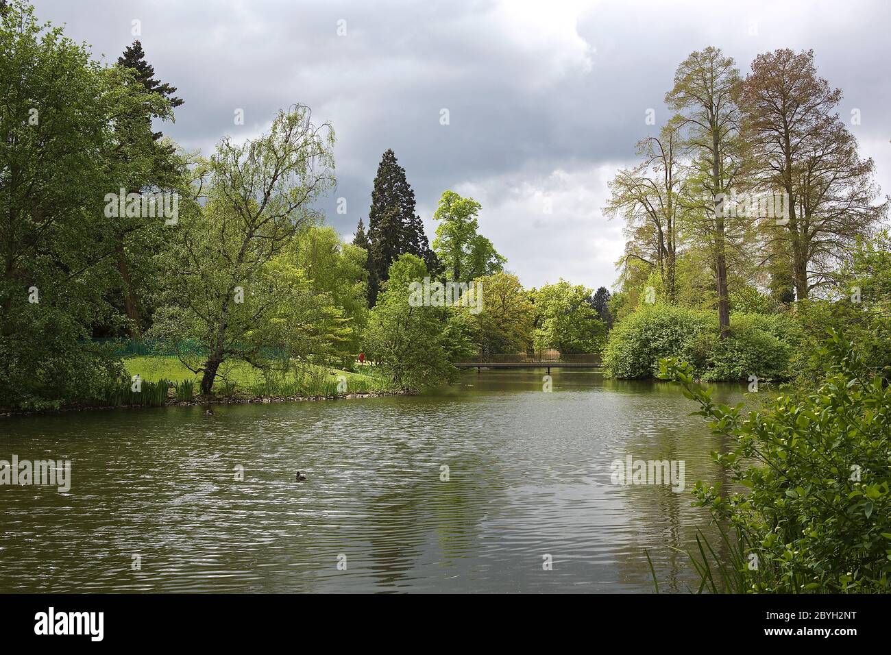 Les jardins de Kew peuvent rouvrir à partir du 3 juin 2020, jardins botaniques royaux le monde des plantes et des champignons ouverts pendant la pandémie de virus corona doit être réservé en ligne car les visiteurs doivent être surveillés avec des créneaux horaires d'entrée préréservés pour la première fois dans l'histoire. Pour des raisons de sécurité, tous les bâtiments et structures resteront fermés , Y compris les serres, les restaurants et les galeries et le train Kew. Quelques options de nourriture et toilettes extérieures resteront ouvertes ... Banque D'Images