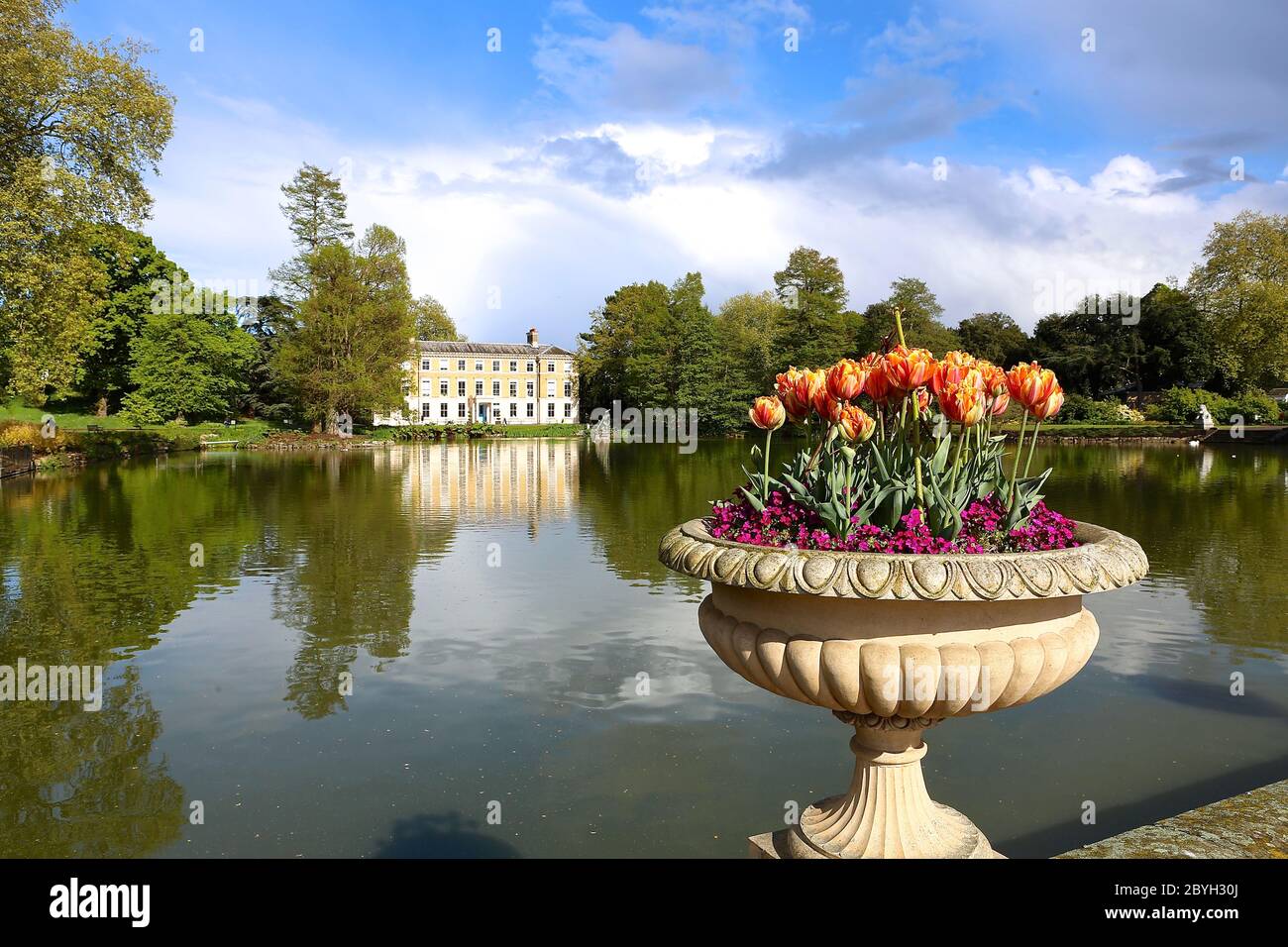 Les jardins de Kew peuvent rouvrir à partir du 3 juin 2020, jardins botaniques royaux le monde des plantes et des champignons ouverts pendant la pandémie de virus corona doit être réservé en ligne car les visiteurs doivent être surveillés avec des créneaux horaires d'entrée préréservés pour la première fois dans l'histoire. Pour des raisons de sécurité, tous les bâtiments et structures resteront fermés , Y compris les serres, les restaurants et les galeries et le train Kew. Quelques options de nourriture et toilettes extérieures resteront ouvertes ... Banque D'Images