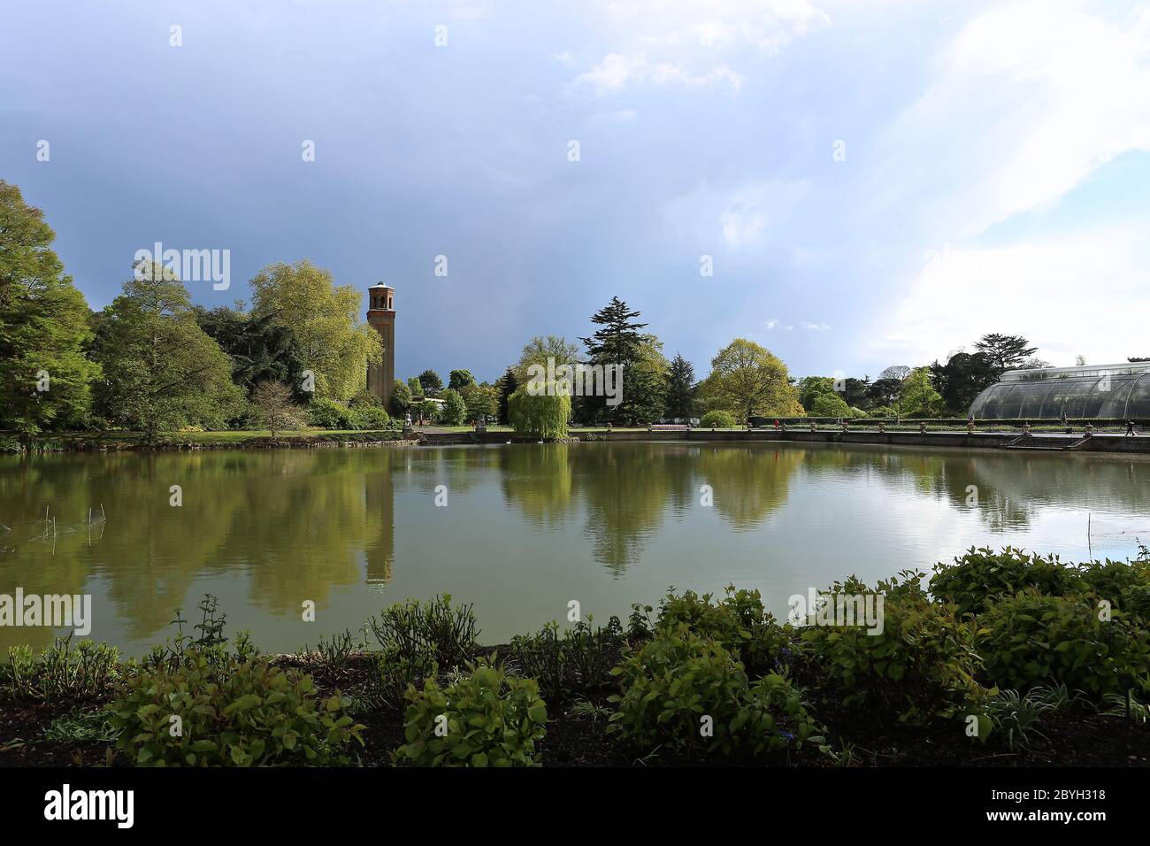 Les jardins de Kew peuvent rouvrir à partir du 3 juin 2020, jardins botaniques royaux le monde des plantes et des champignons ouverts pendant la pandémie de virus corona doit être réservé en ligne car les visiteurs doivent être surveillés avec des créneaux horaires d'entrée préréservés pour la première fois dans l'histoire. Pour des raisons de sécurité, tous les bâtiments et structures resteront fermés , Y compris les serres, les restaurants et les galeries et le train Kew. Quelques options de nourriture et toilettes extérieures resteront ouvertes ... Banque D'Images