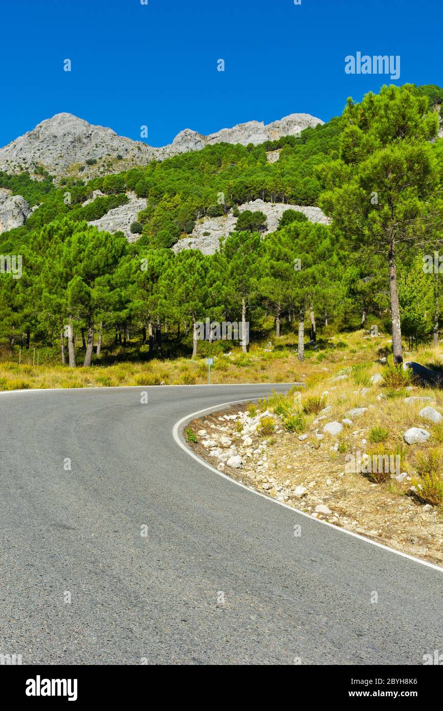 Route Banque D'Images