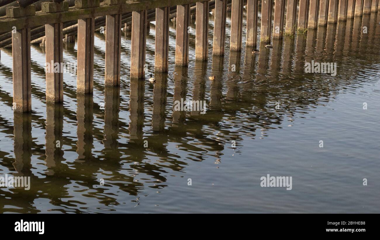 Poteaux en bois dans la rivière avec des ondulations sur l'eau Banque D'Images