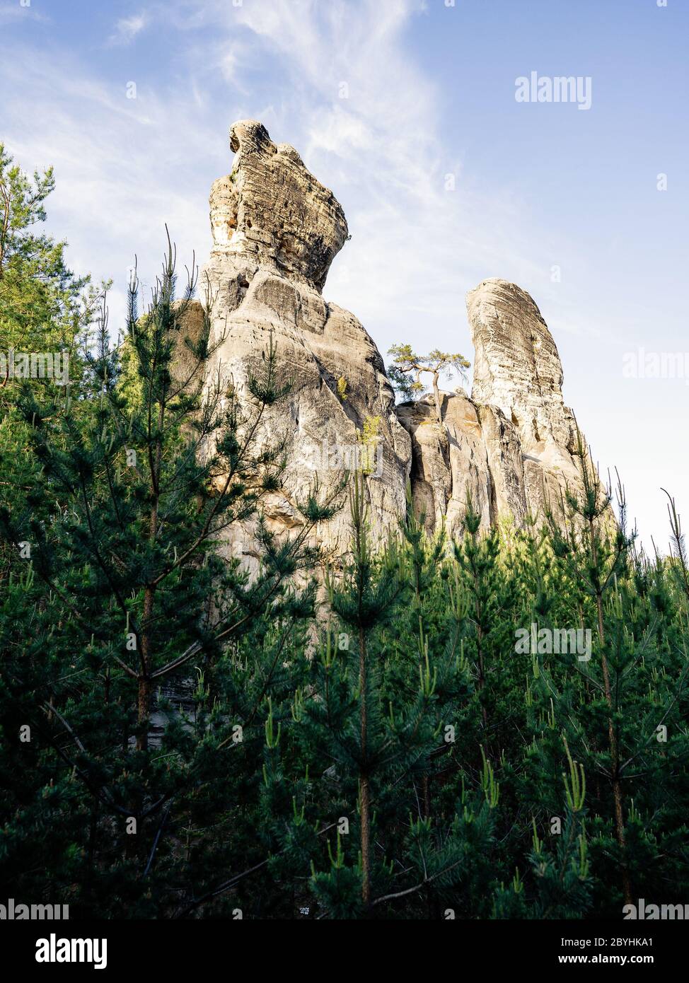 Tours dans les formations rocheuses de grès dans le Paradis de Bohême. Paysage fabuleux. Piliers de grès se posant au-dessus du bois dans le paradis bohème Banque D'Images