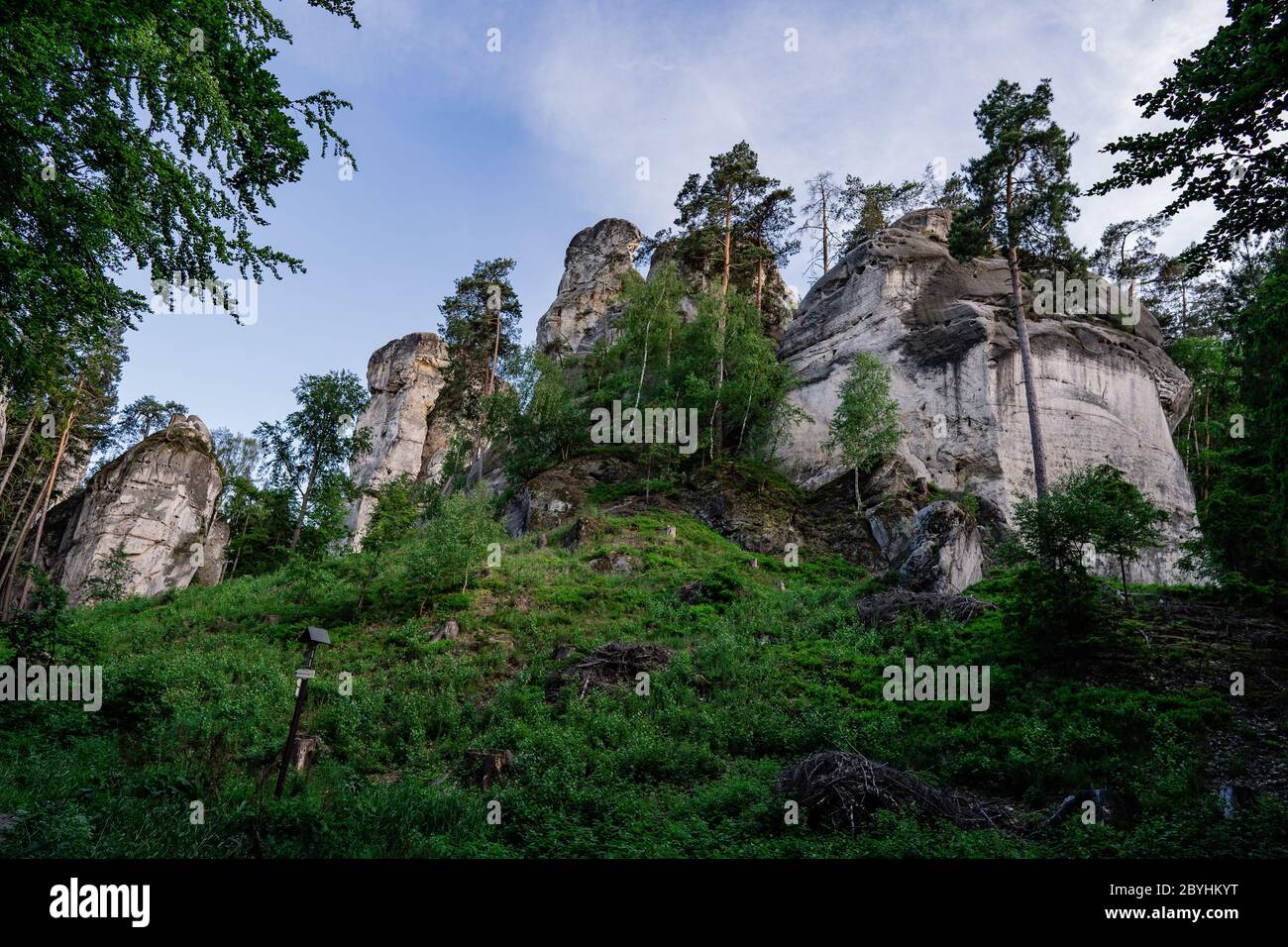 Tours dans les formations rocheuses de grès dans le Paradis de Bohême. Paysage fabuleux. Piliers de grès se posant au-dessus du bois dans le paradis bohème Banque D'Images