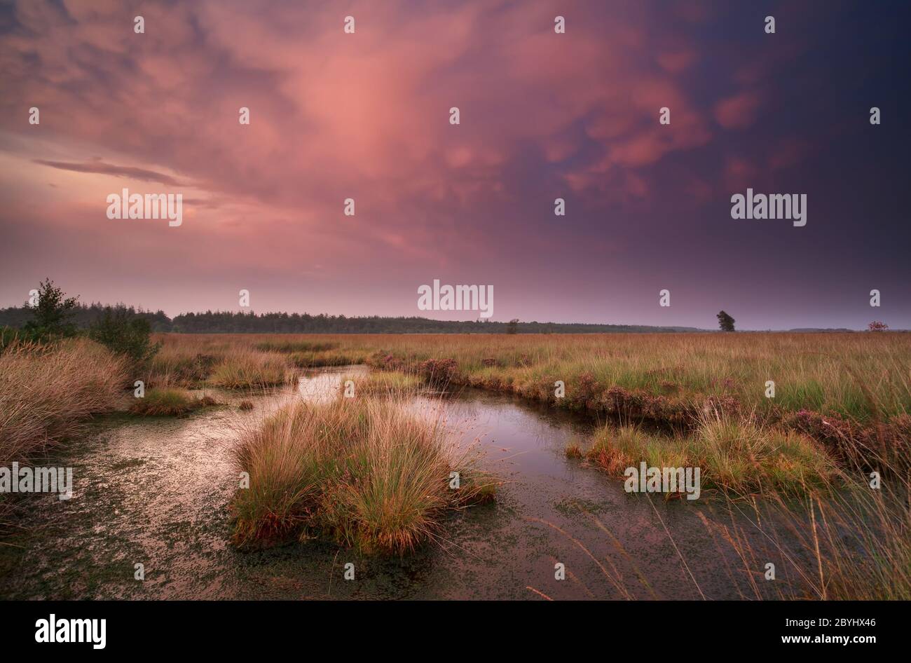 mammatus nuages sur marais au coucher du soleil Banque D'Images