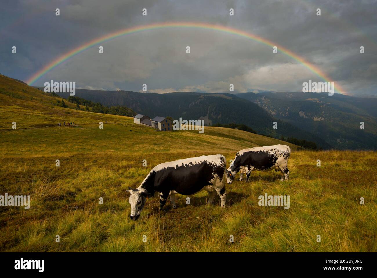 après un orage sur le sommet du ballon d'alsace dans les vosges en france Banque D'Images