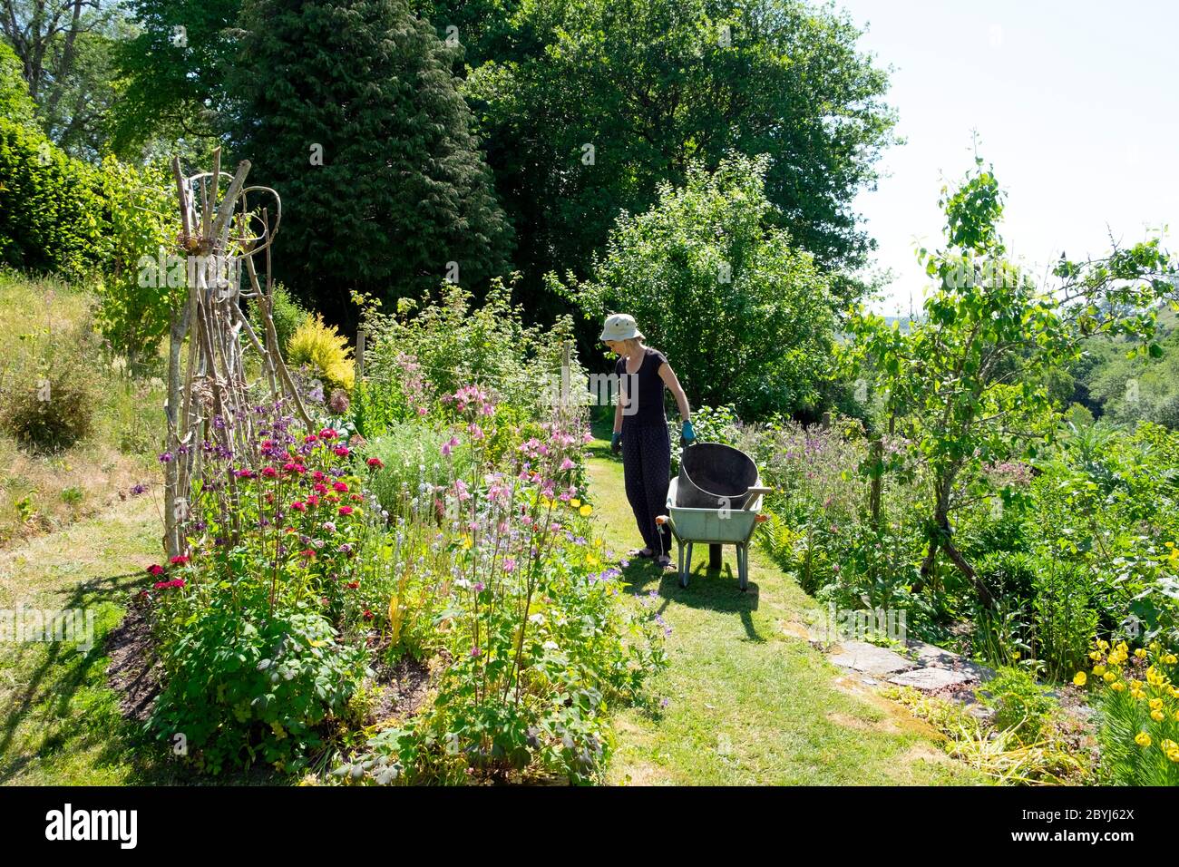 Femme senior jardinant lit de fleur et parcelle de légumes en milieu rural Jardin de campagne avec brouette campagne gallois Mai 2020 pays de Galles R.-U. KATHY DEWITT Banque D'Images