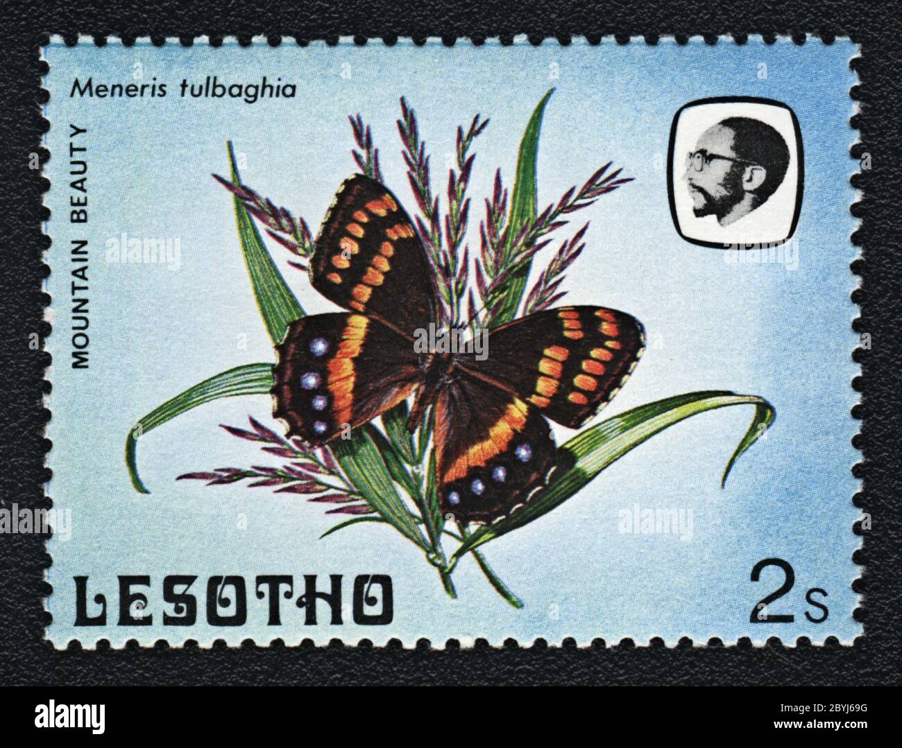 Beauté de montagne, Meneris tulbaghia. Timbres-poste de la série papillons, Lesotho, 1984 Banque D'Images