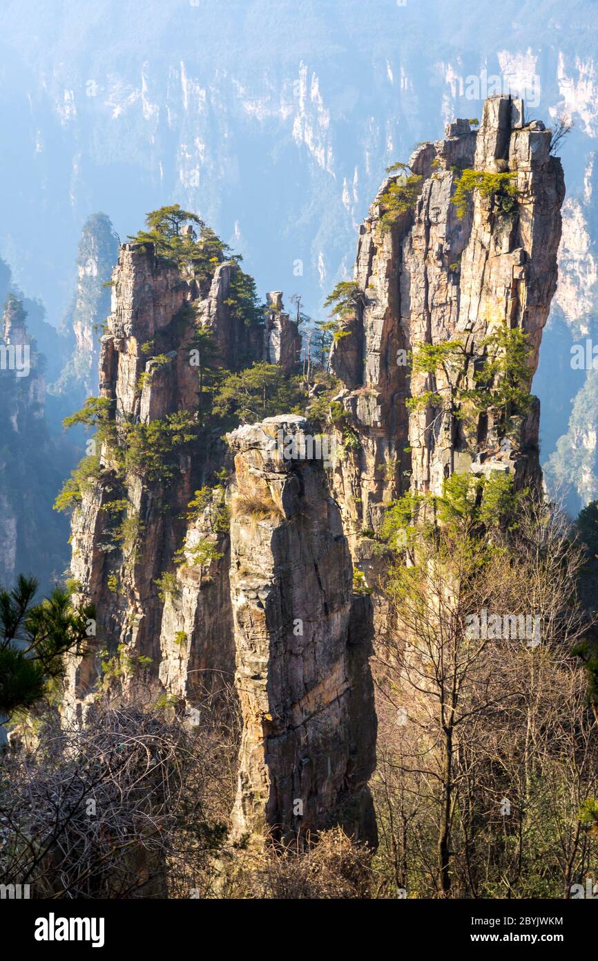 Zhangjiajie Parc forestier national de Chine Banque D'Images