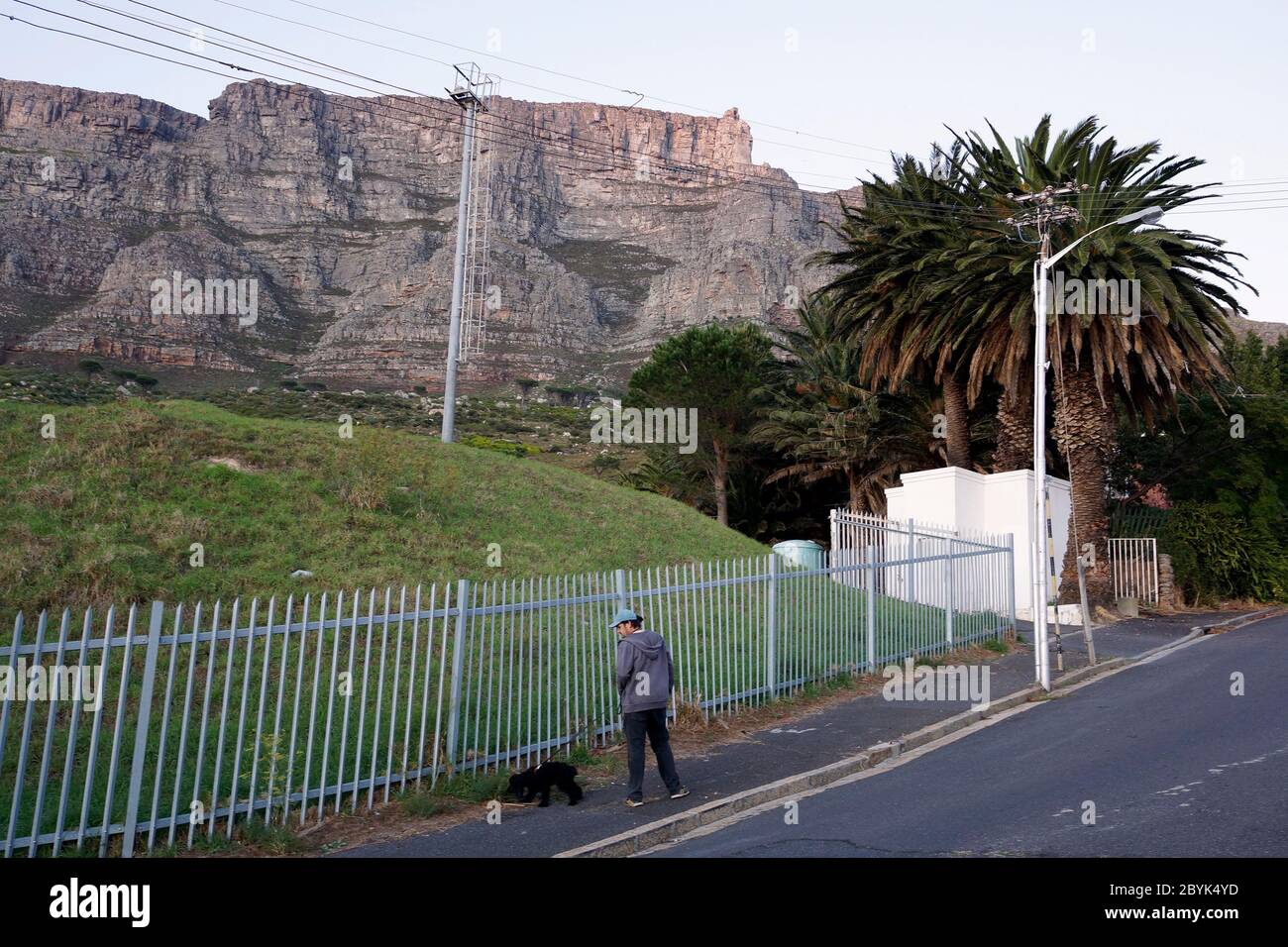 Homme marchant son chien à Oranjezicht, une banlieue du Cap, Afrique du Sud pendant l'enfermeture du virus de la couronne horaire autorisé. Banque D'Images