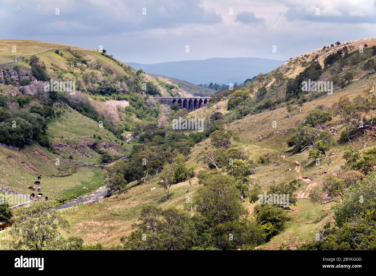 Vue sur le viaduc et la réserve naturelle de la voie ferrée de Smardale Gill, près de Kirkby Stephen, Cumbria, Royaume-Uni Banque D'Images