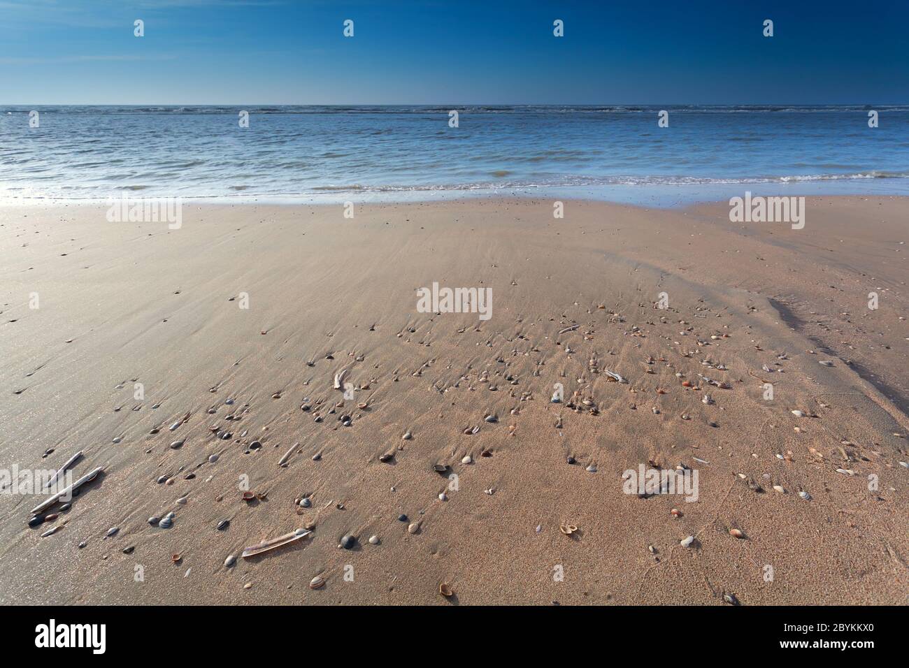 Plage de sable sur la mer du Nord à marée basse Banque D'Images