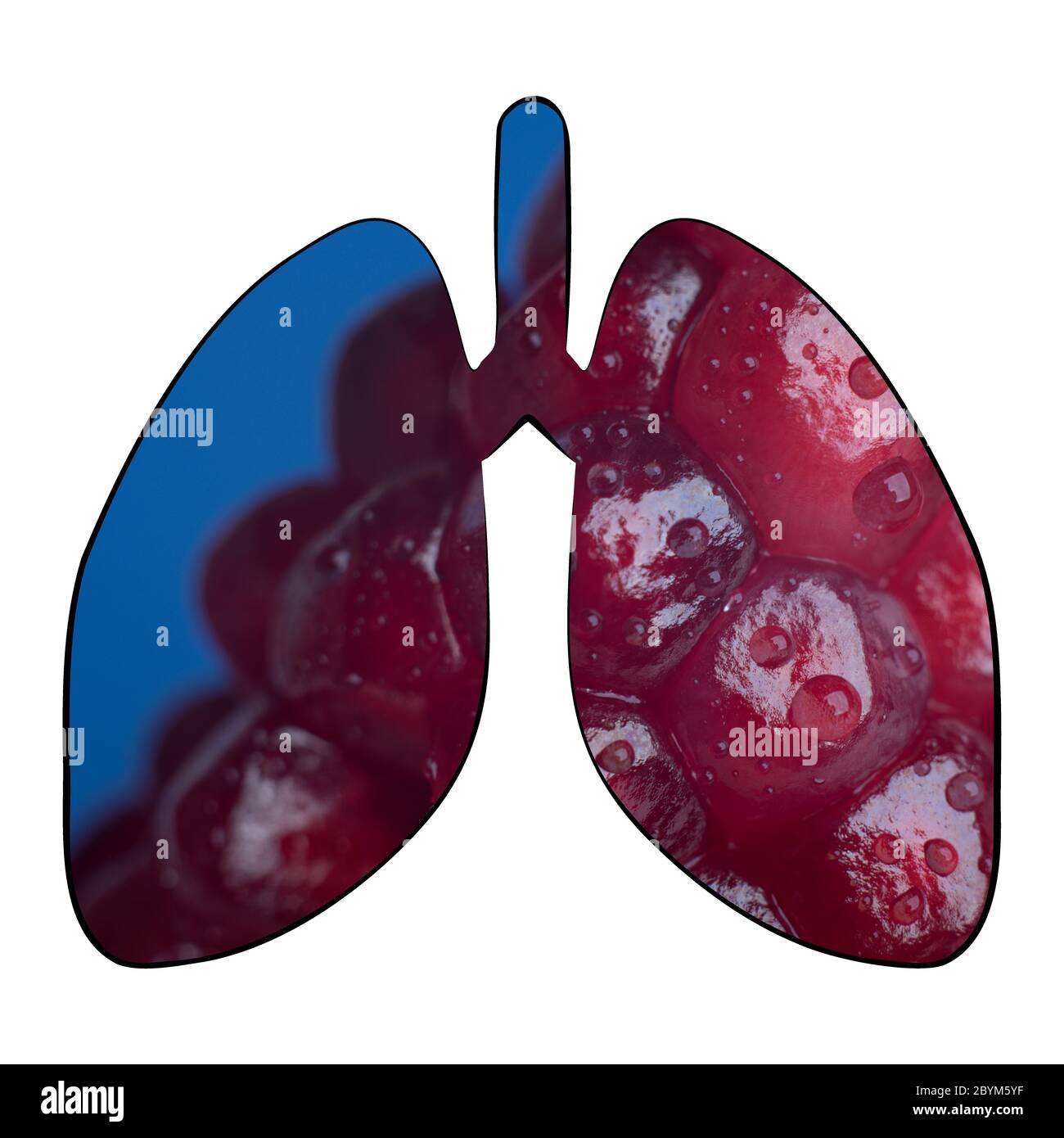 Un collage d'un grenade simulant les poumons d'une personne malade. Banque D'Images