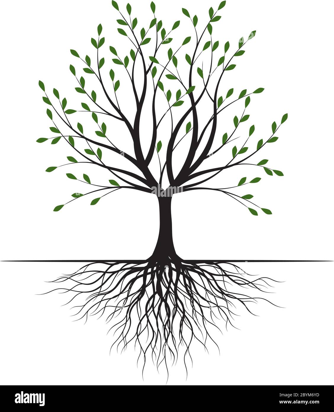 Arbre vert avec des feuilles. Contour Vector Illustration. Plante dans le jardin. Illustration de Vecteur