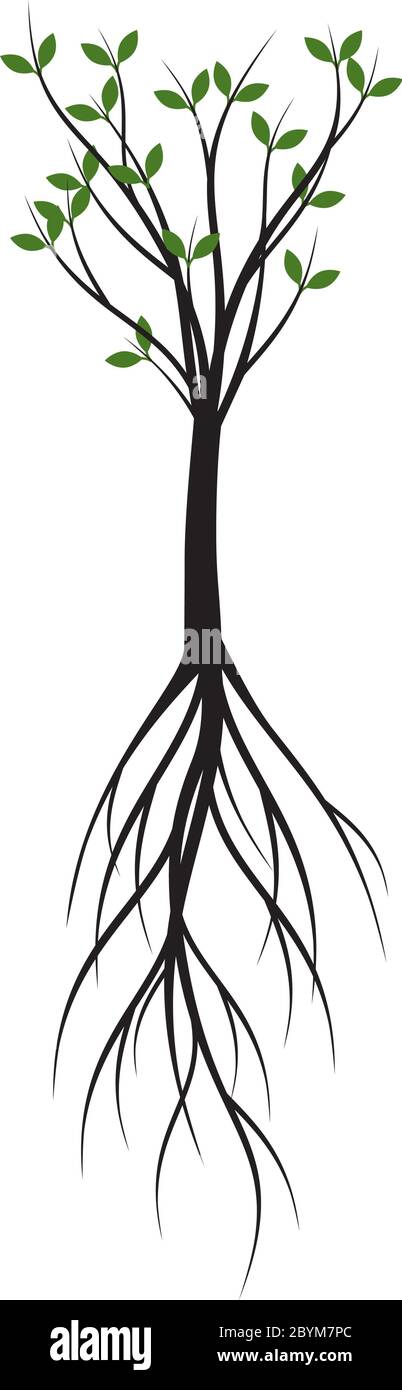 Arbre vert avec des feuilles. Contour Vector Illustration. Plante dans le jardin. Illustration de Vecteur